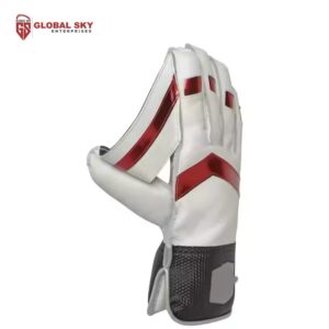Wicket Keeper Gloves
