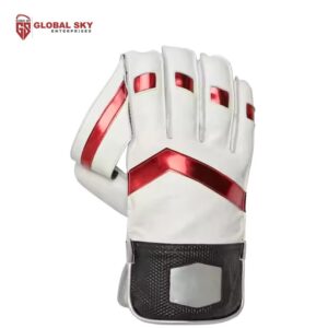 Wicket Keeper Gloves